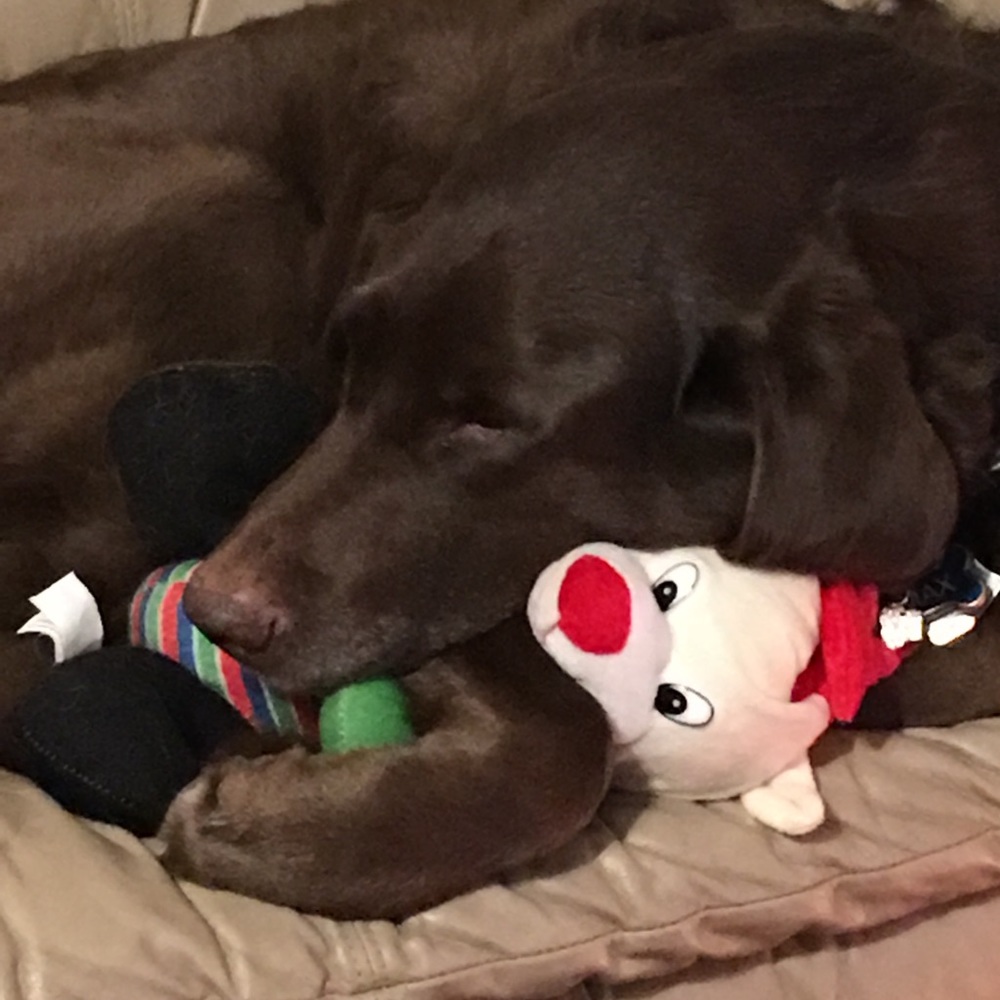 Meet your Posher, Kelli